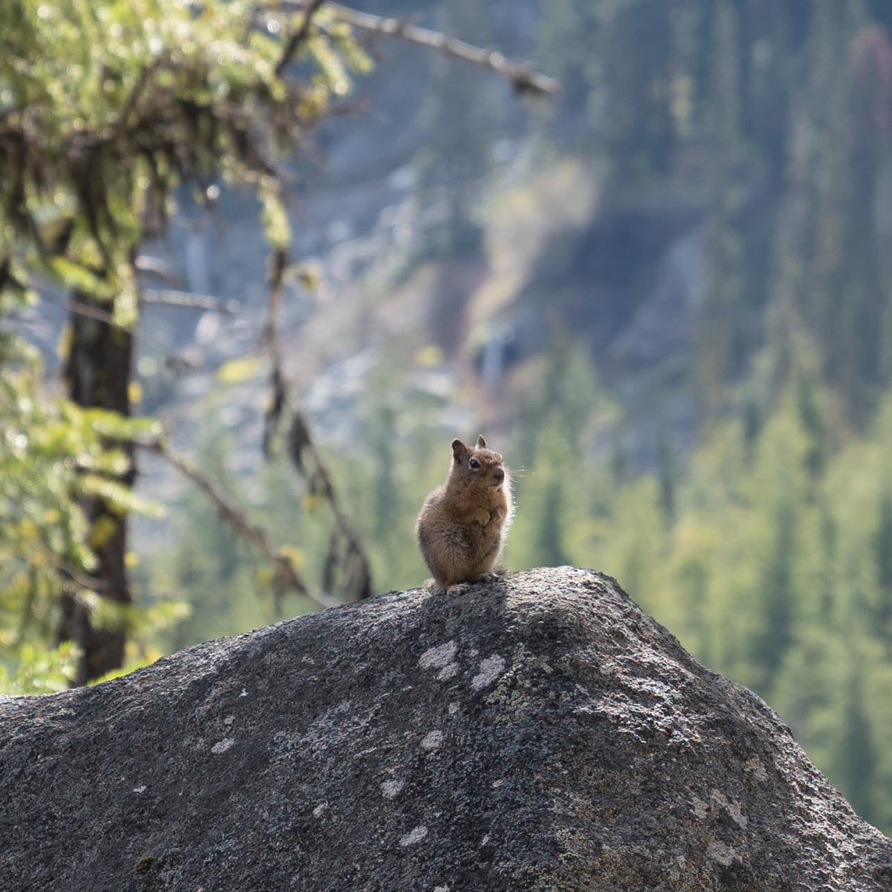 Enchantments — Washington, USA