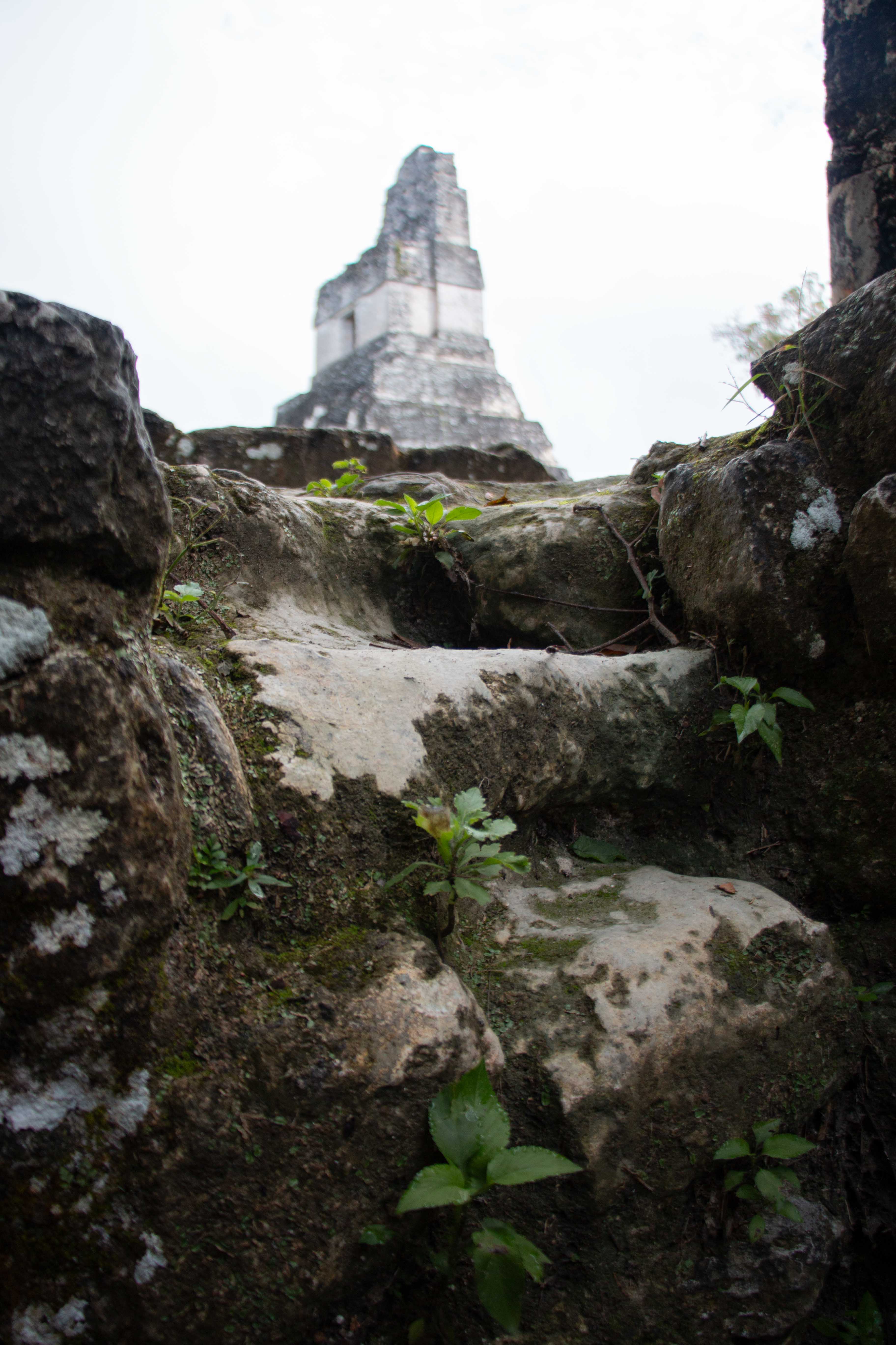 Fuego photo 15