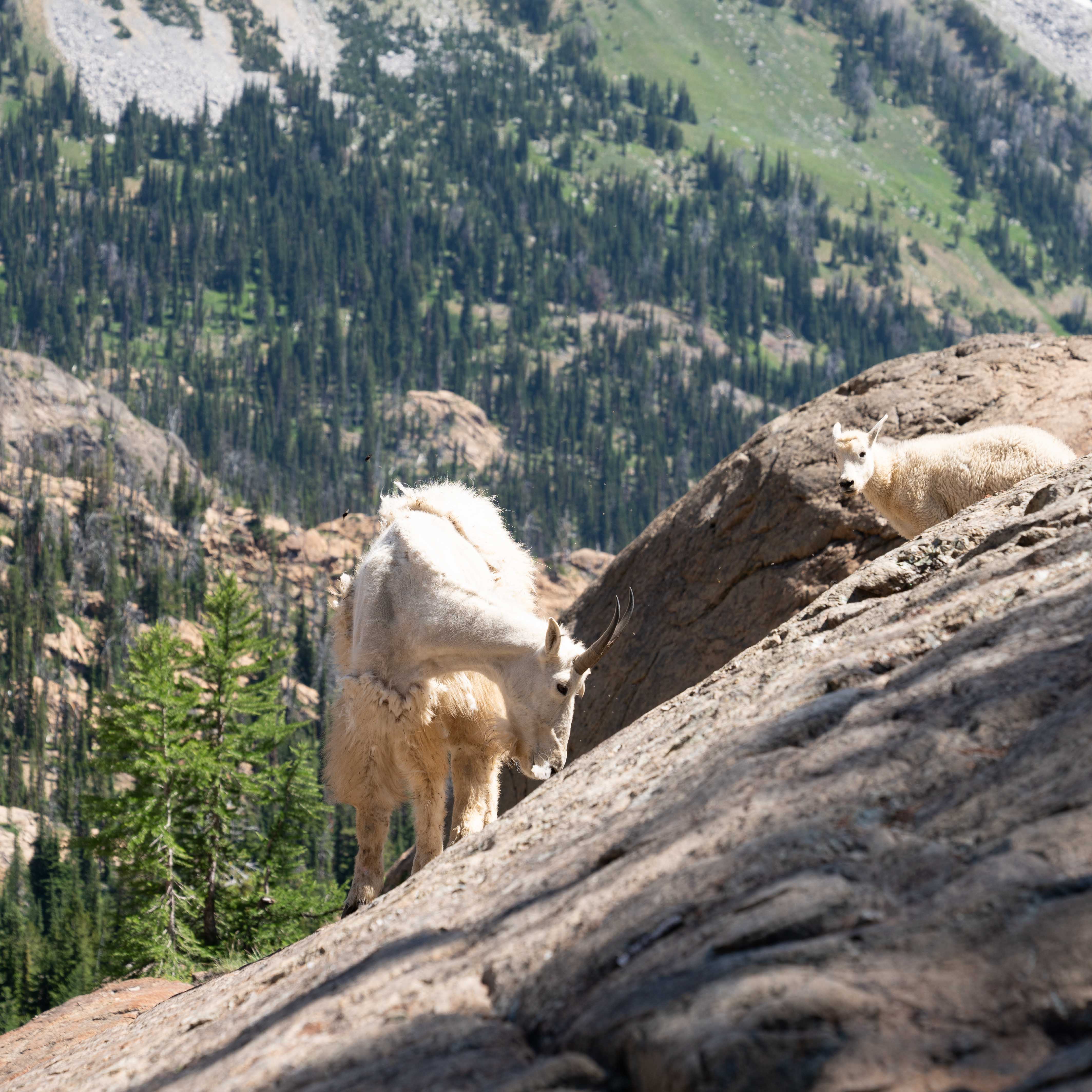 Lake Ingalls photo 1