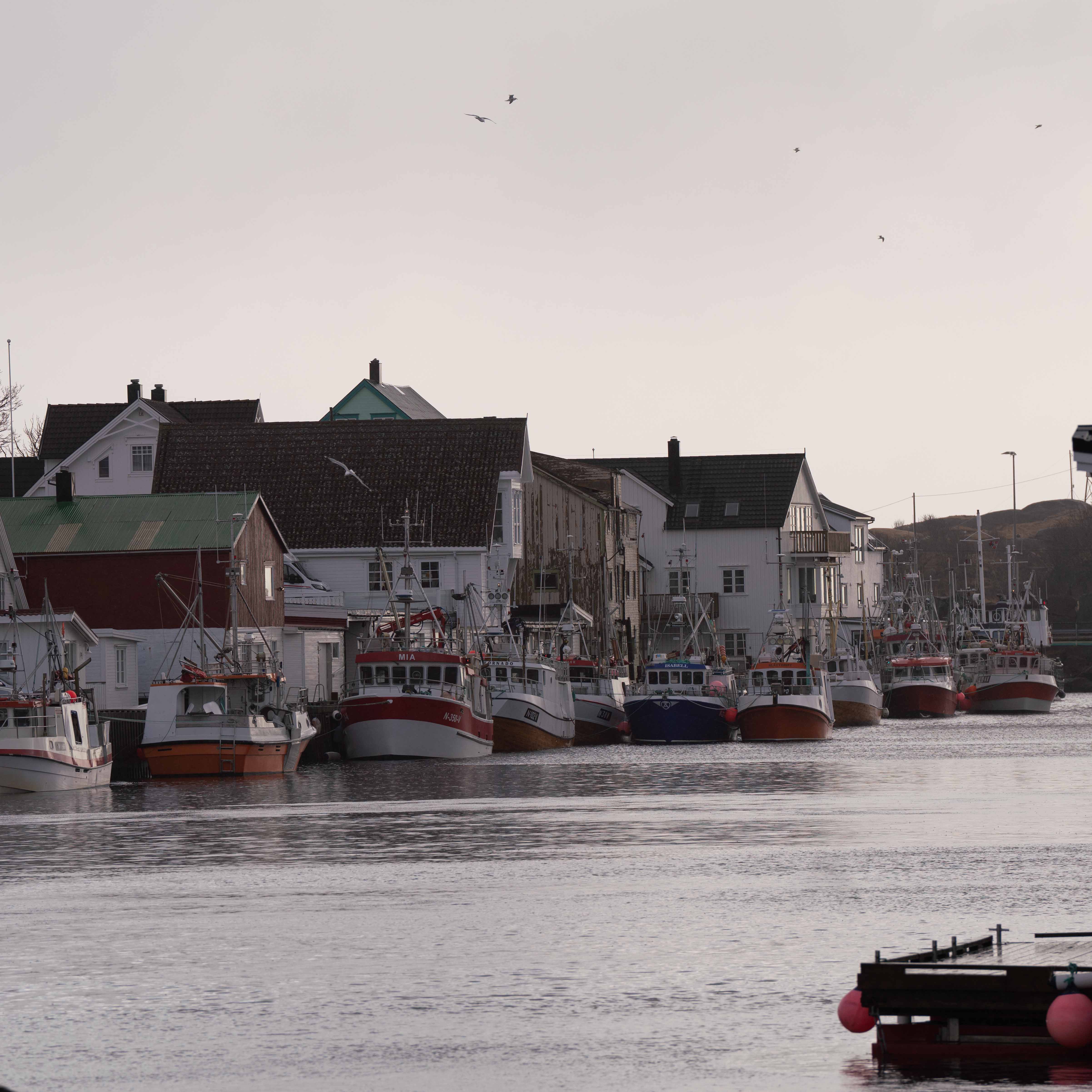 Norway photo 38
