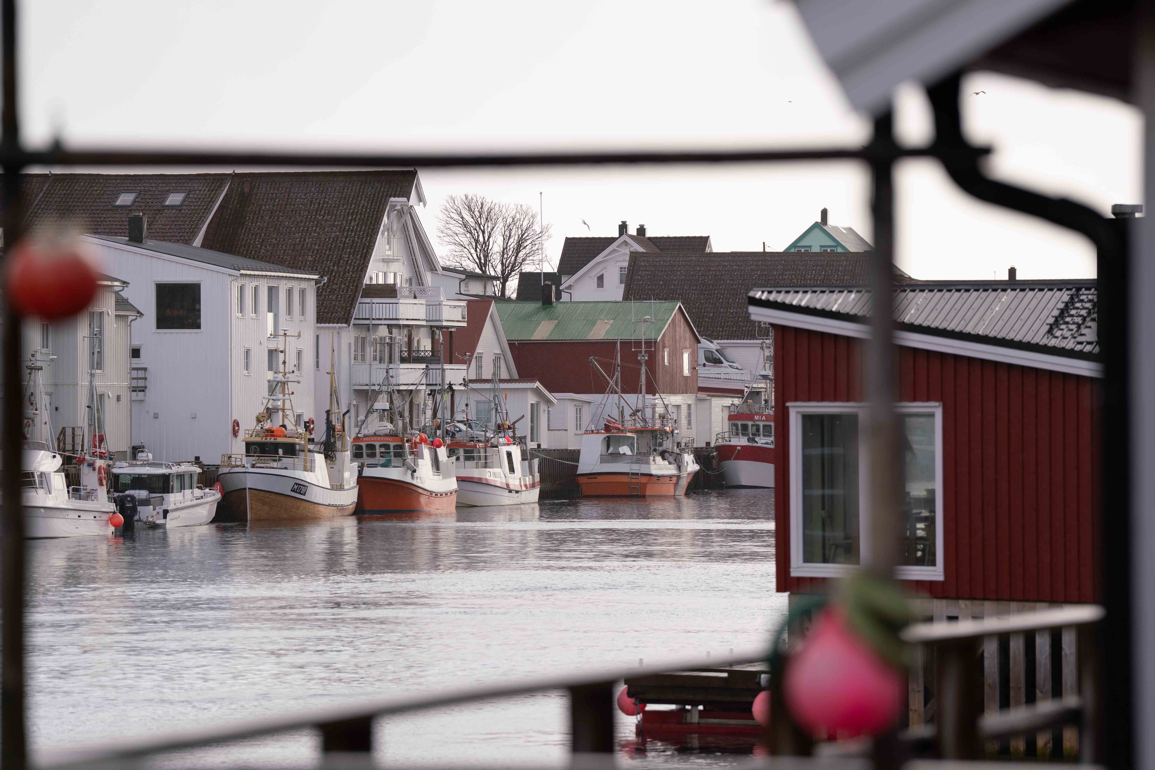 Norway photo 39