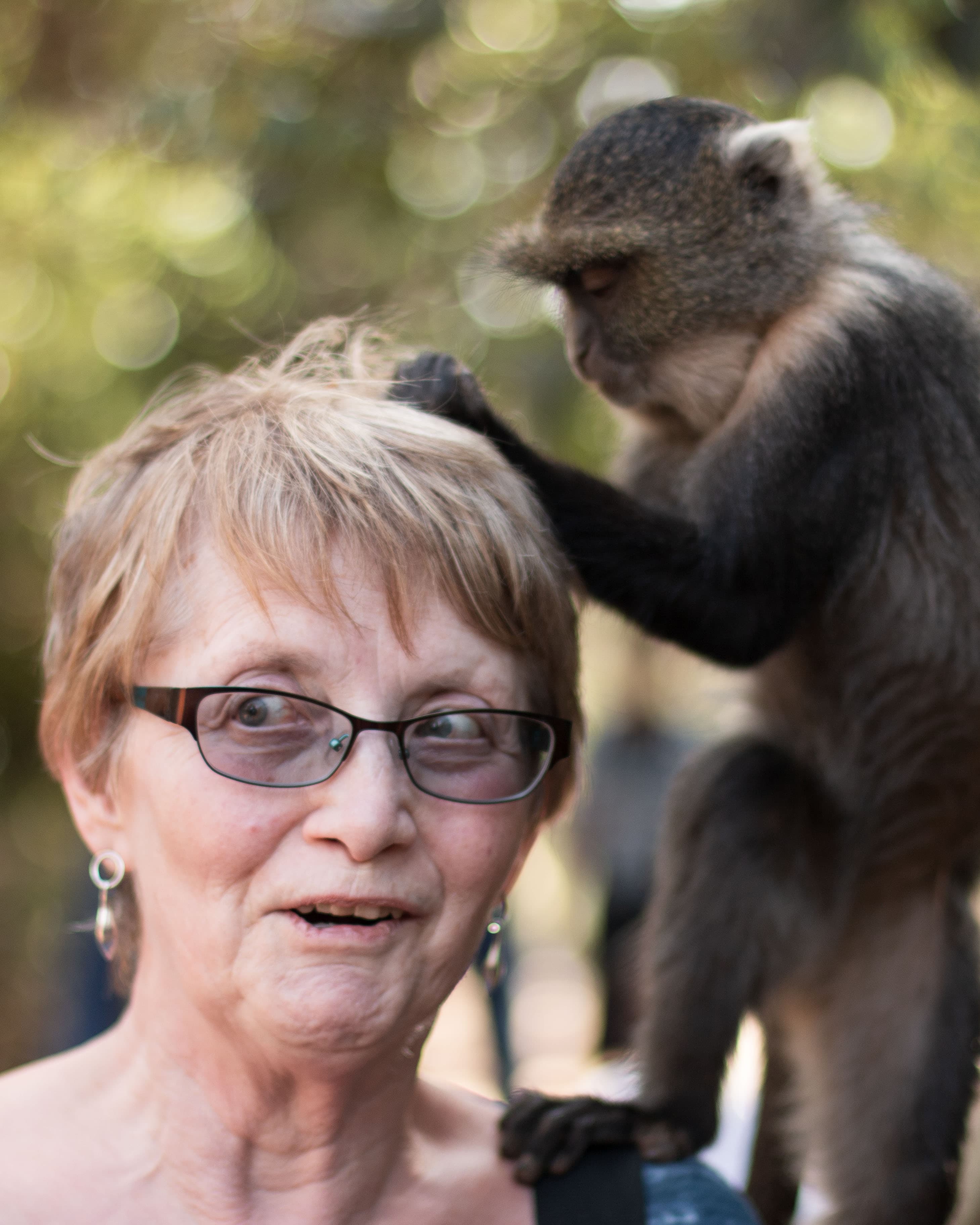 Safi Kabisa photo 14