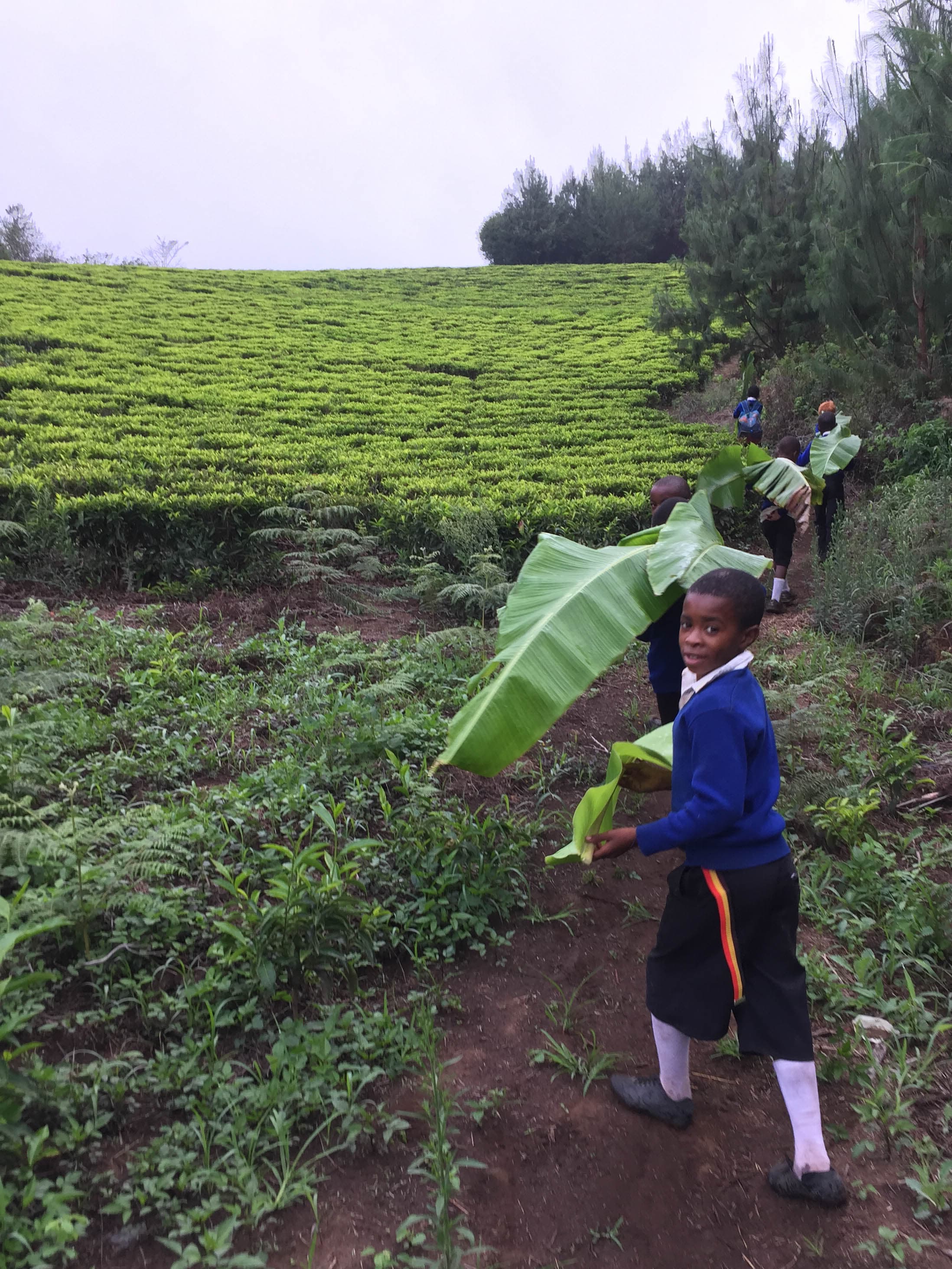 Safi Kabisa photo 30