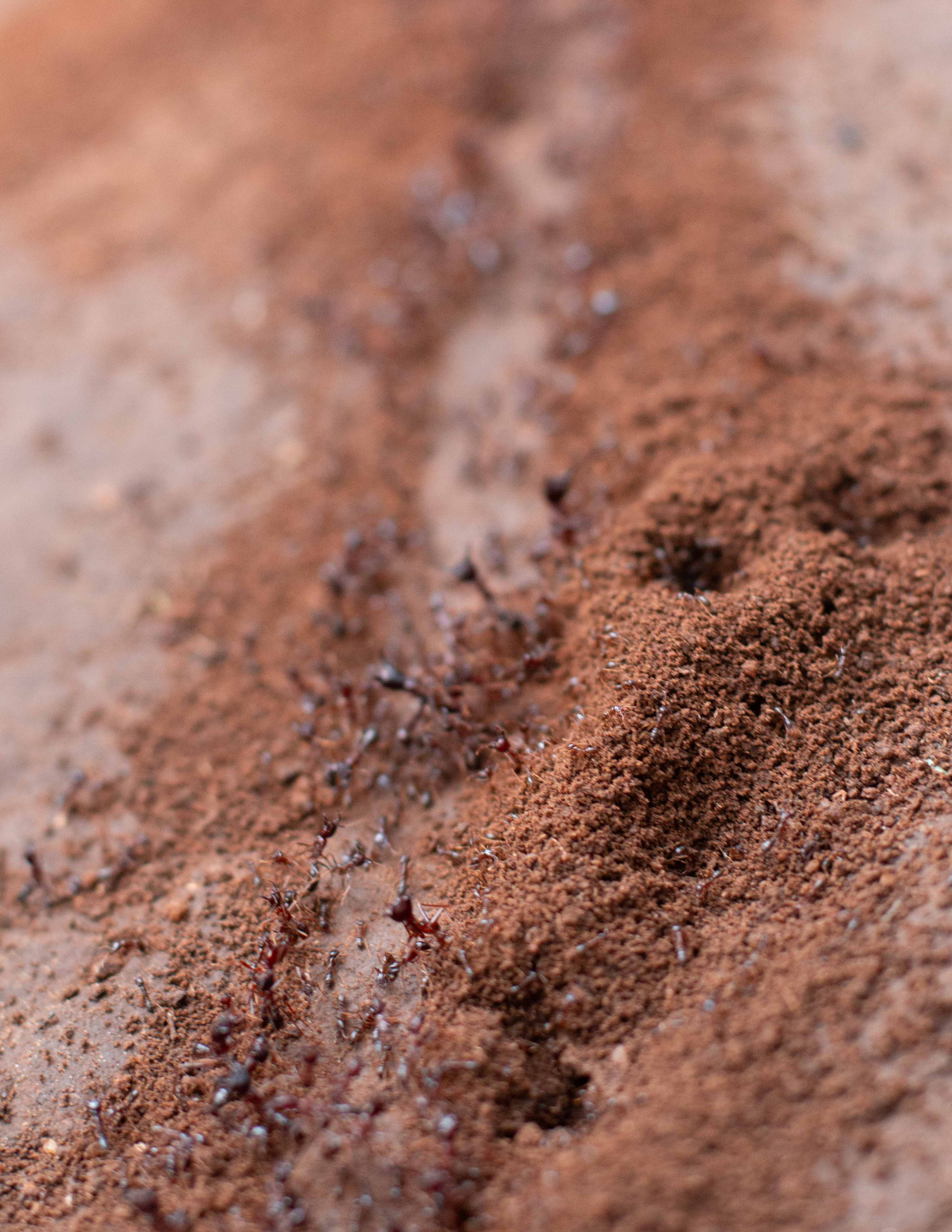 Safi Kabisa photo 25