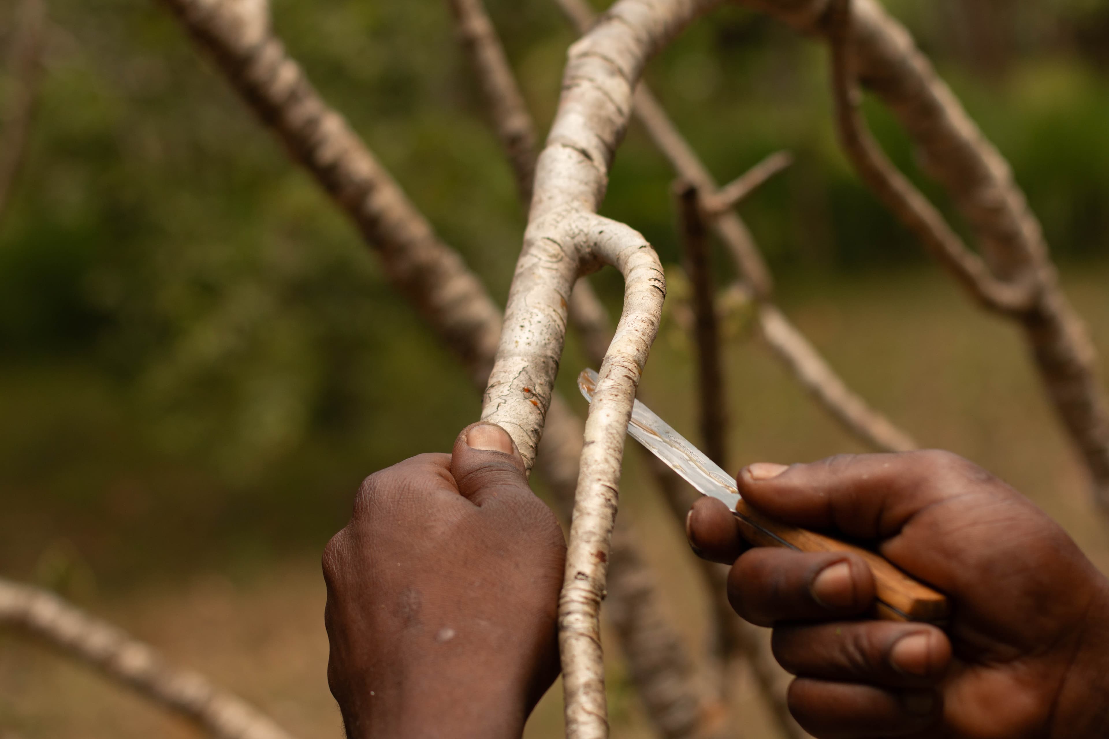 Safi Kabisa photo 56