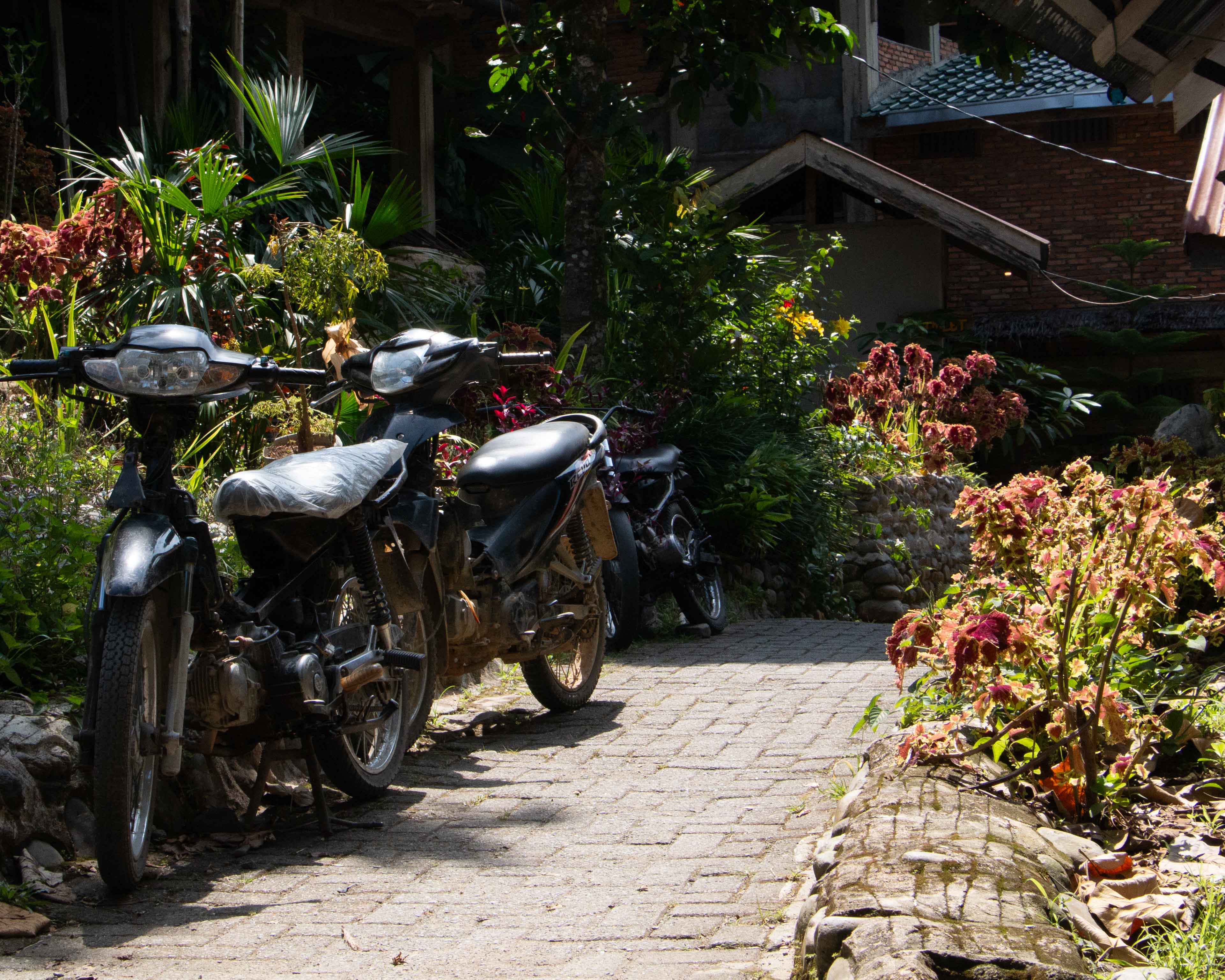 Selamat Tinggal photo 5