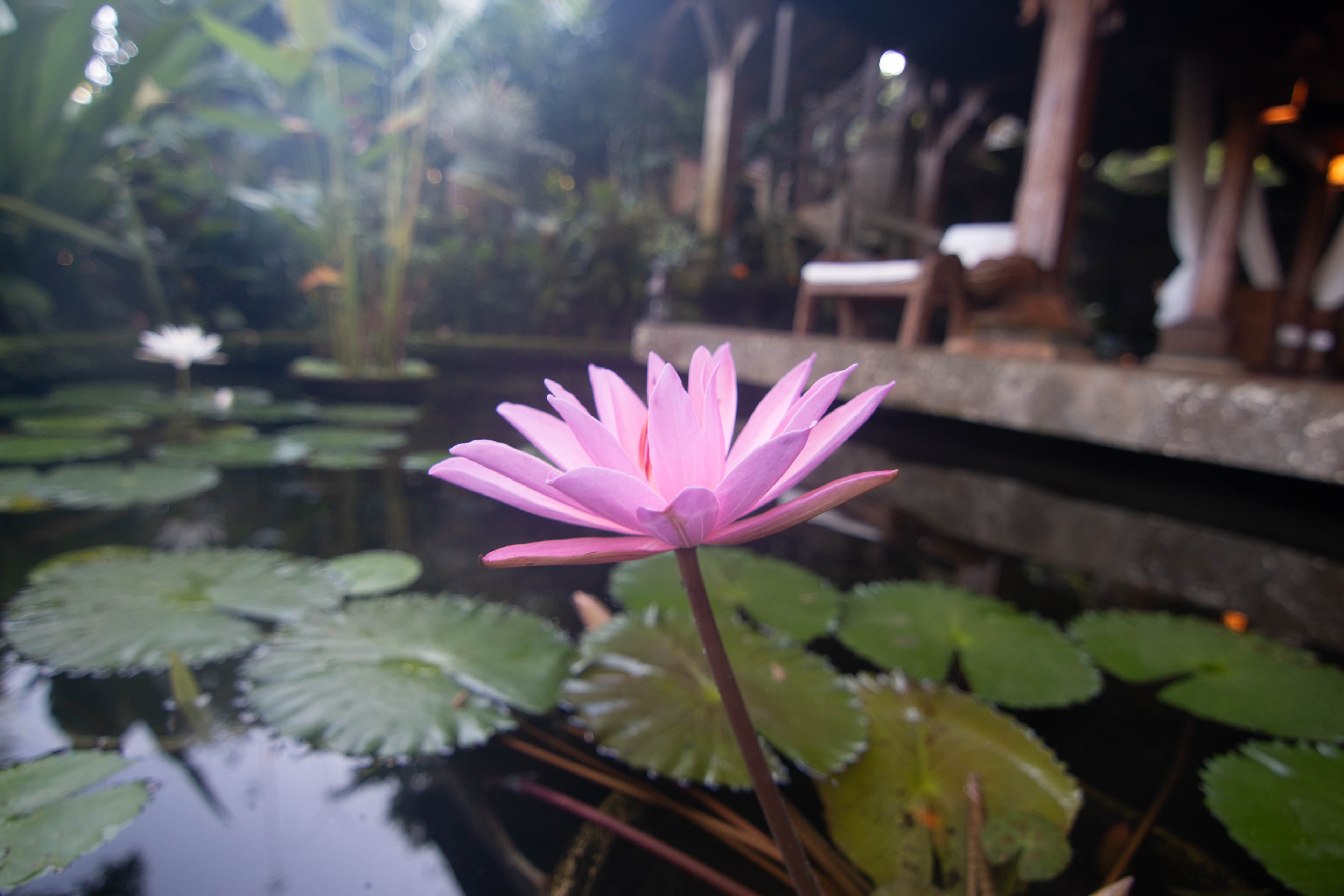 Selamat Tinggal photo 49