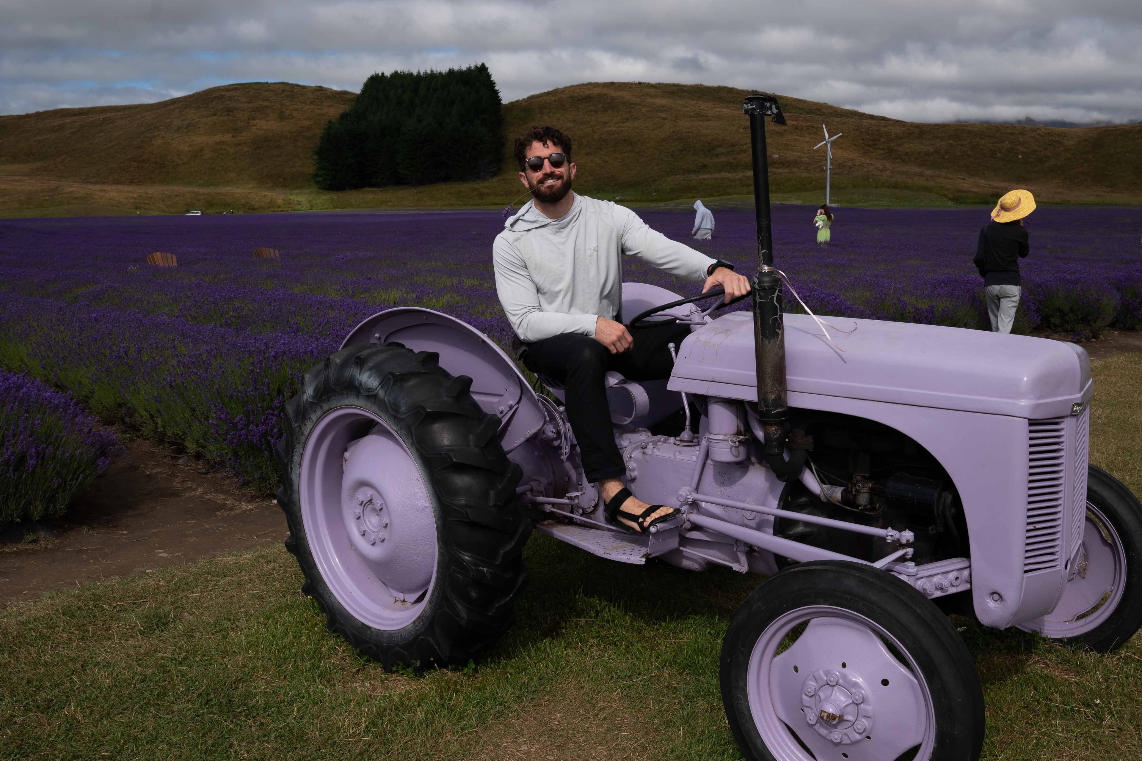 South Island photo 4