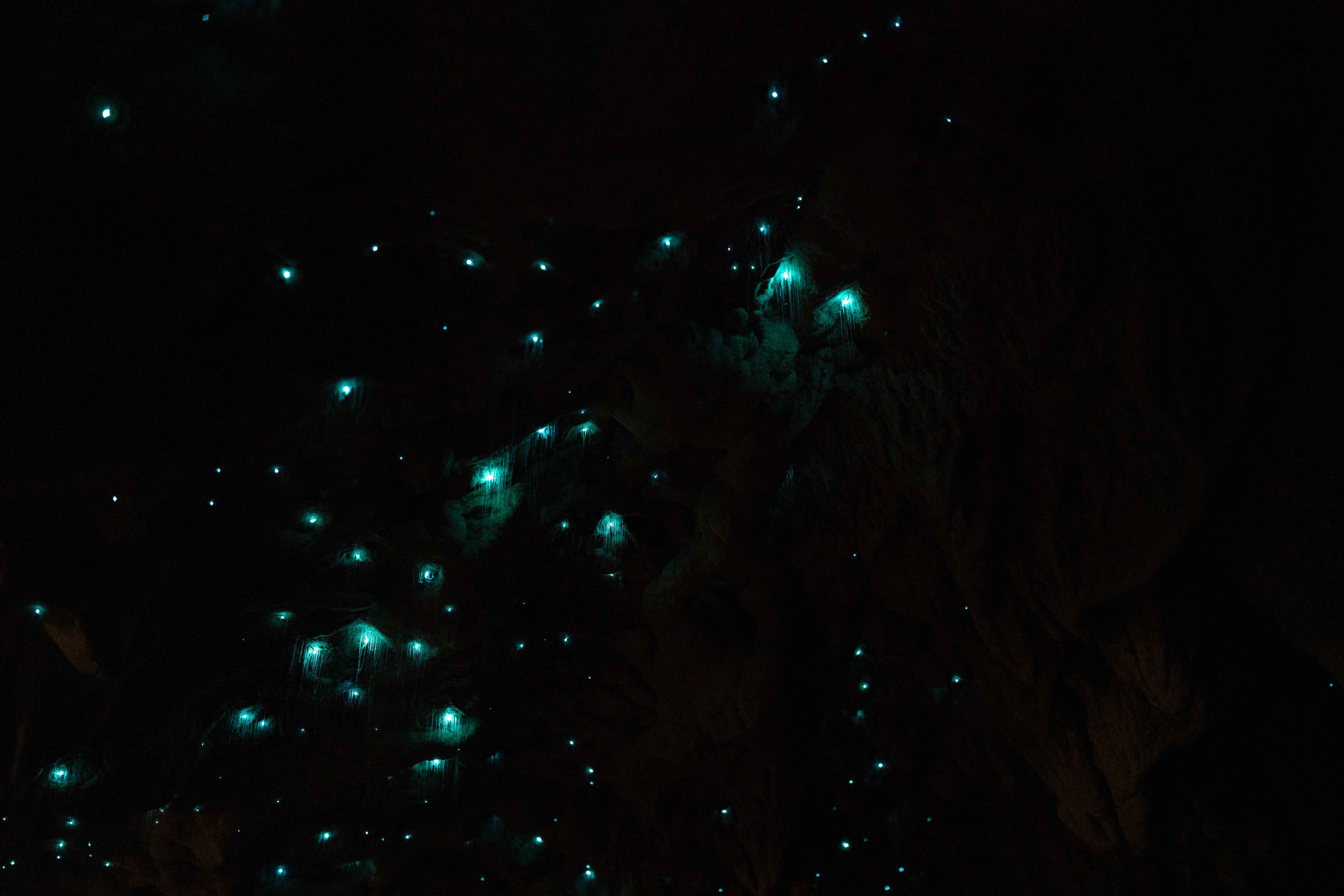 South Island photo 26