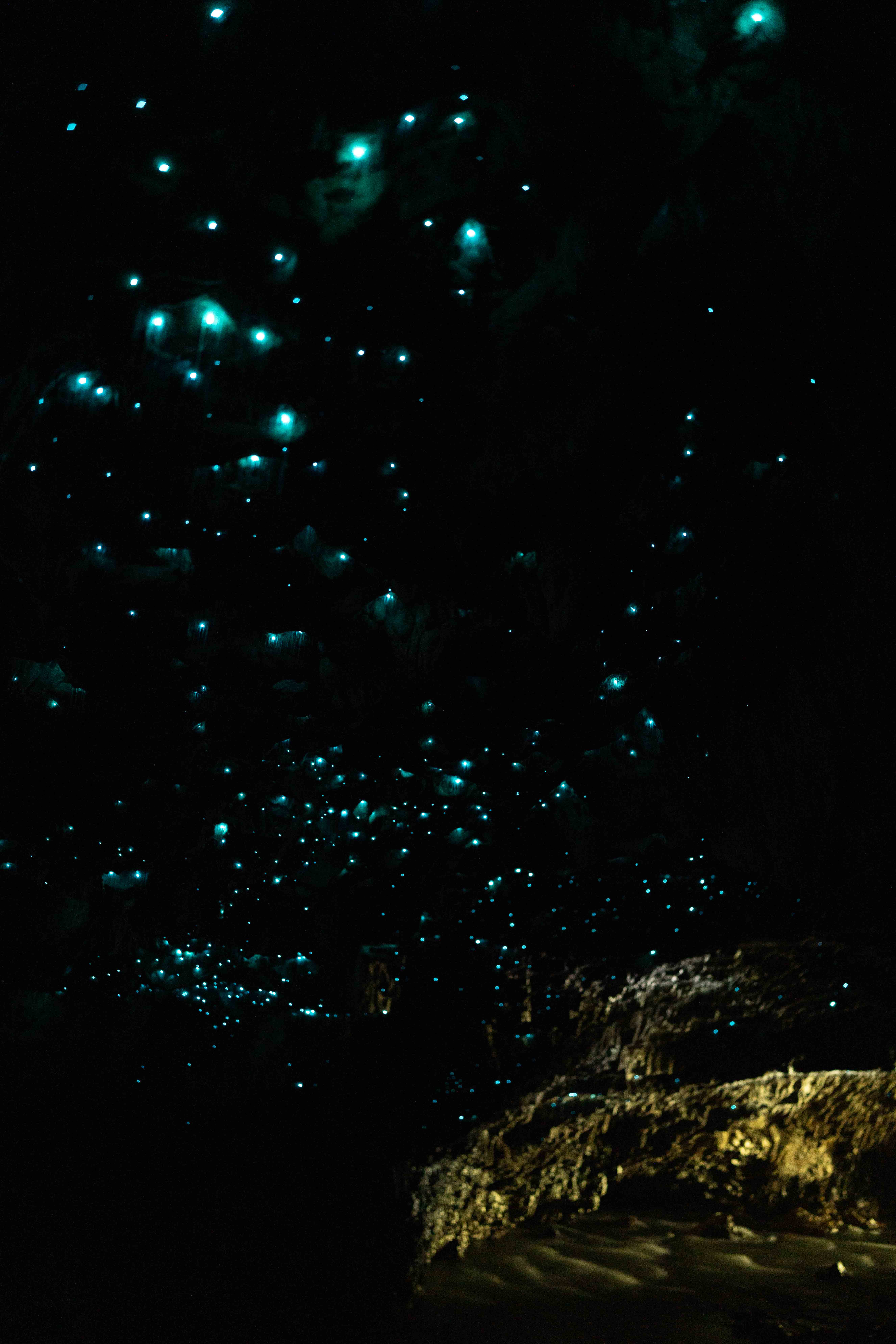 South Island photo 27