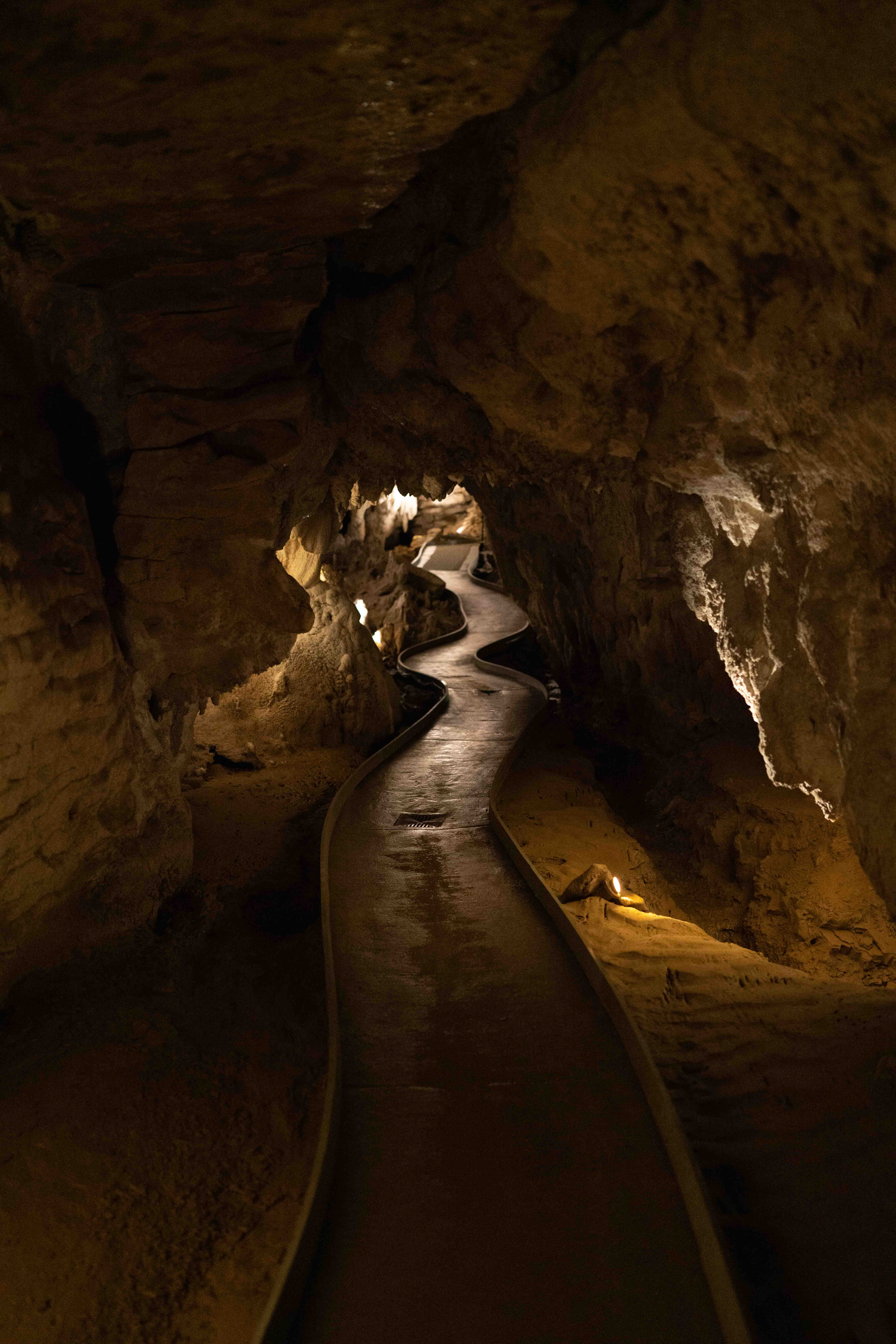 South Island photo 30