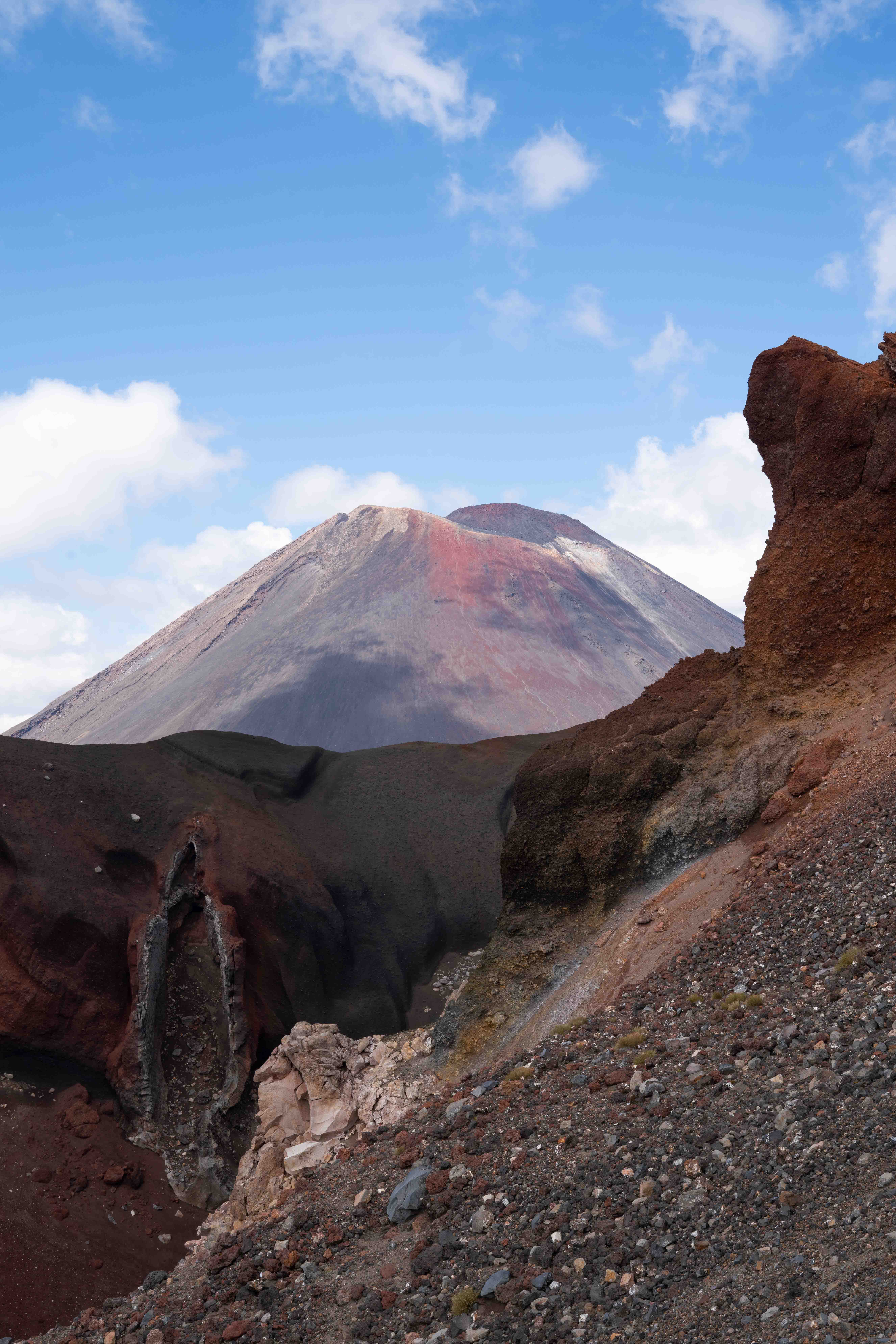 South Island photo 36
