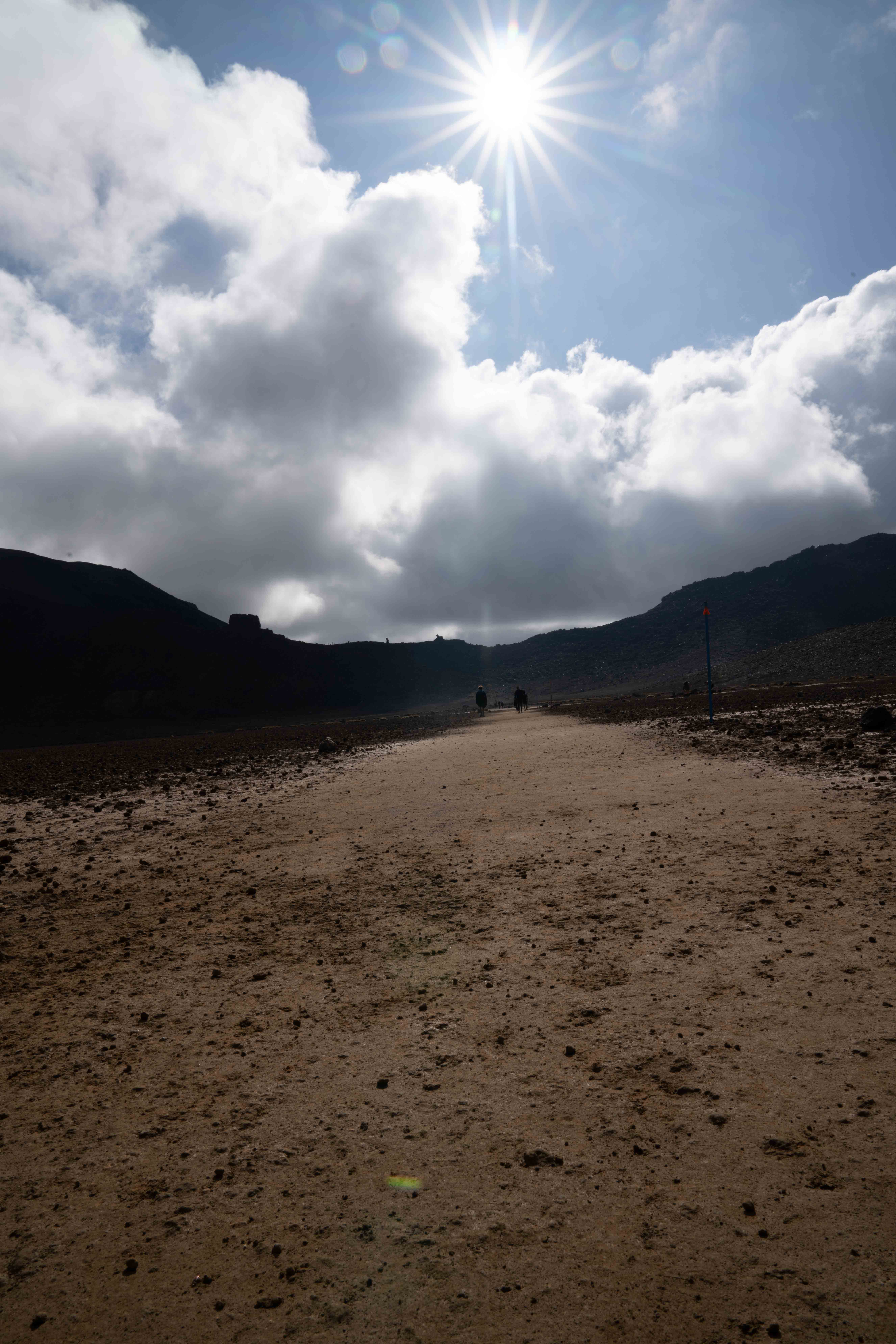 South Island photo 33