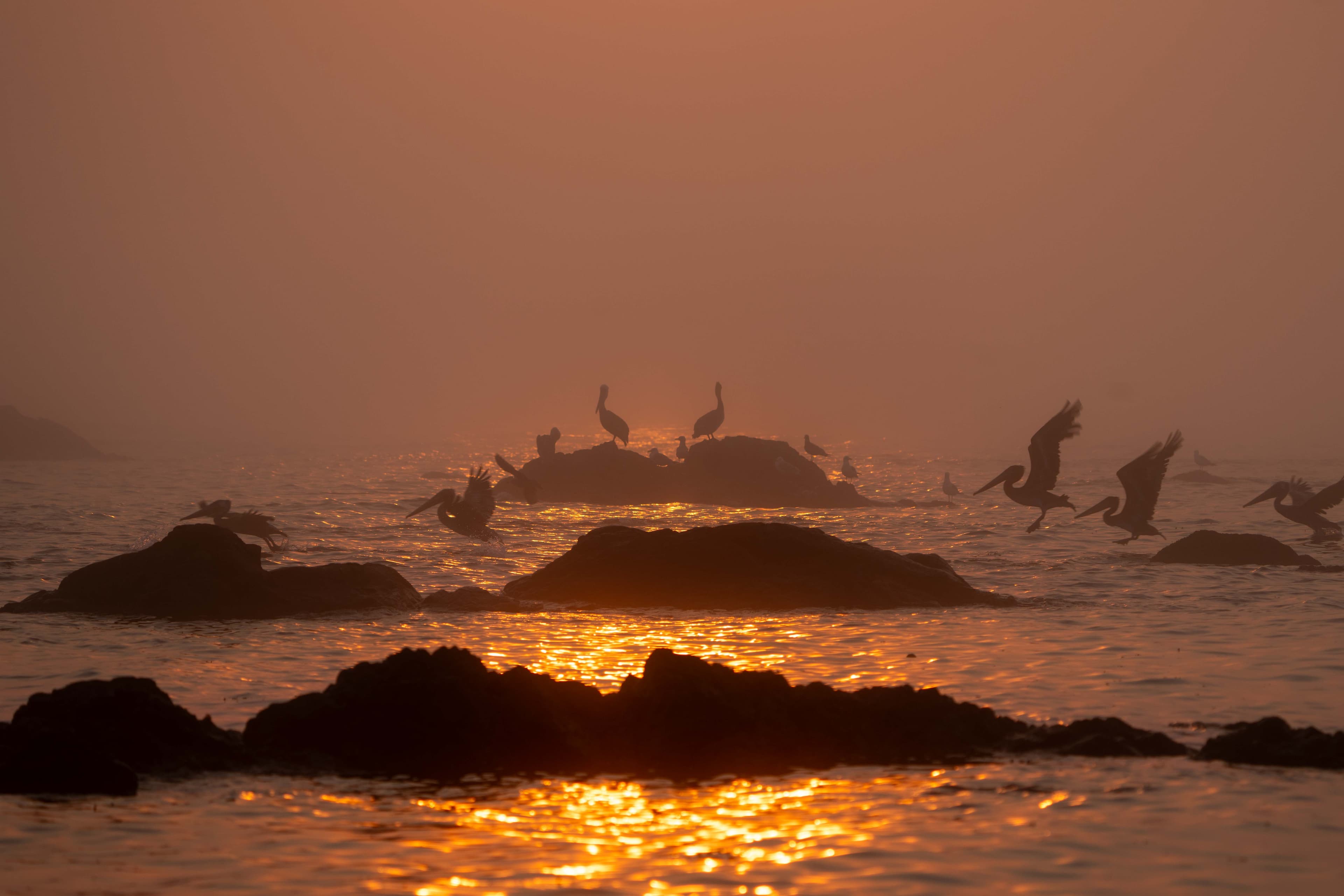 Washington Coast photo 4