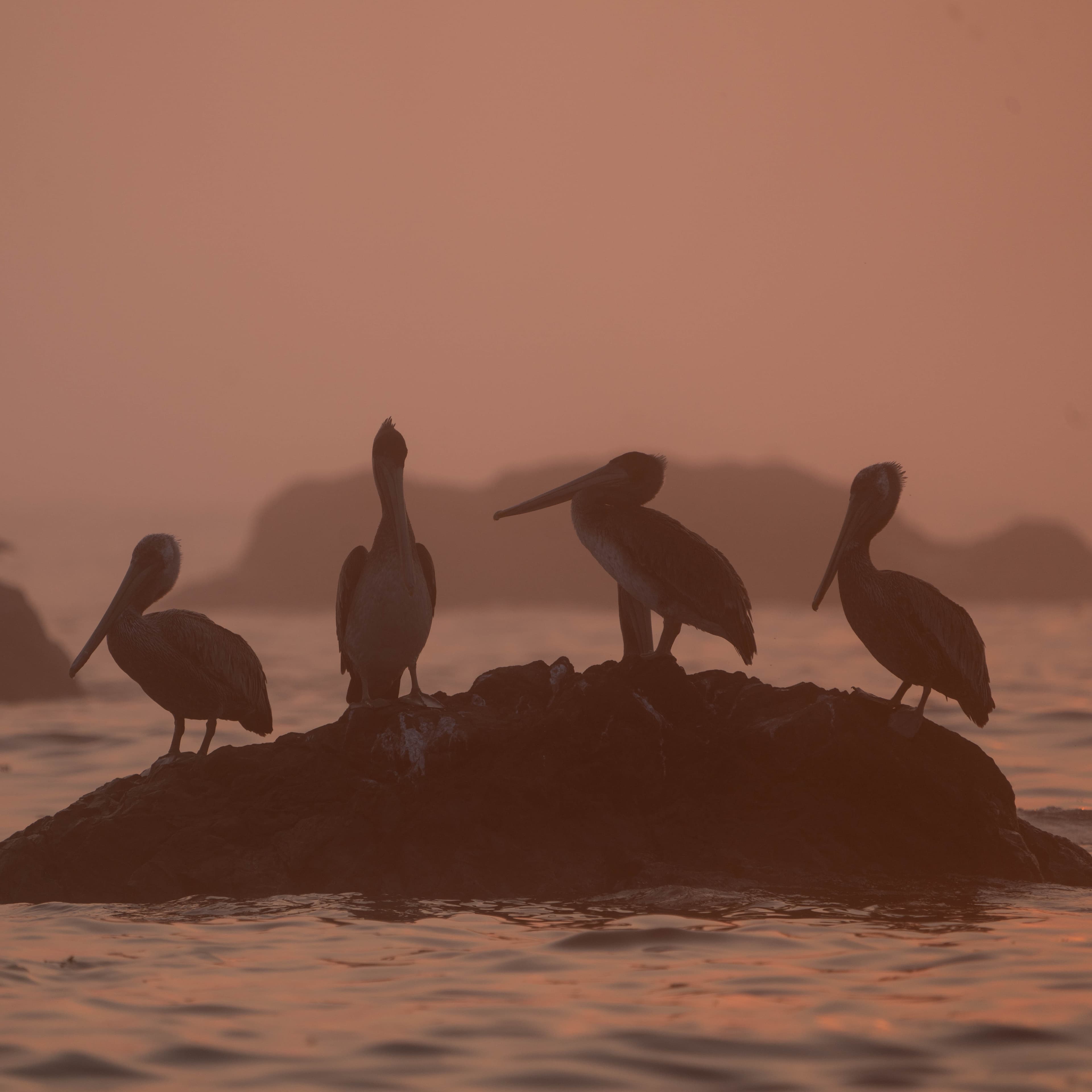 Washington Coast photo 6