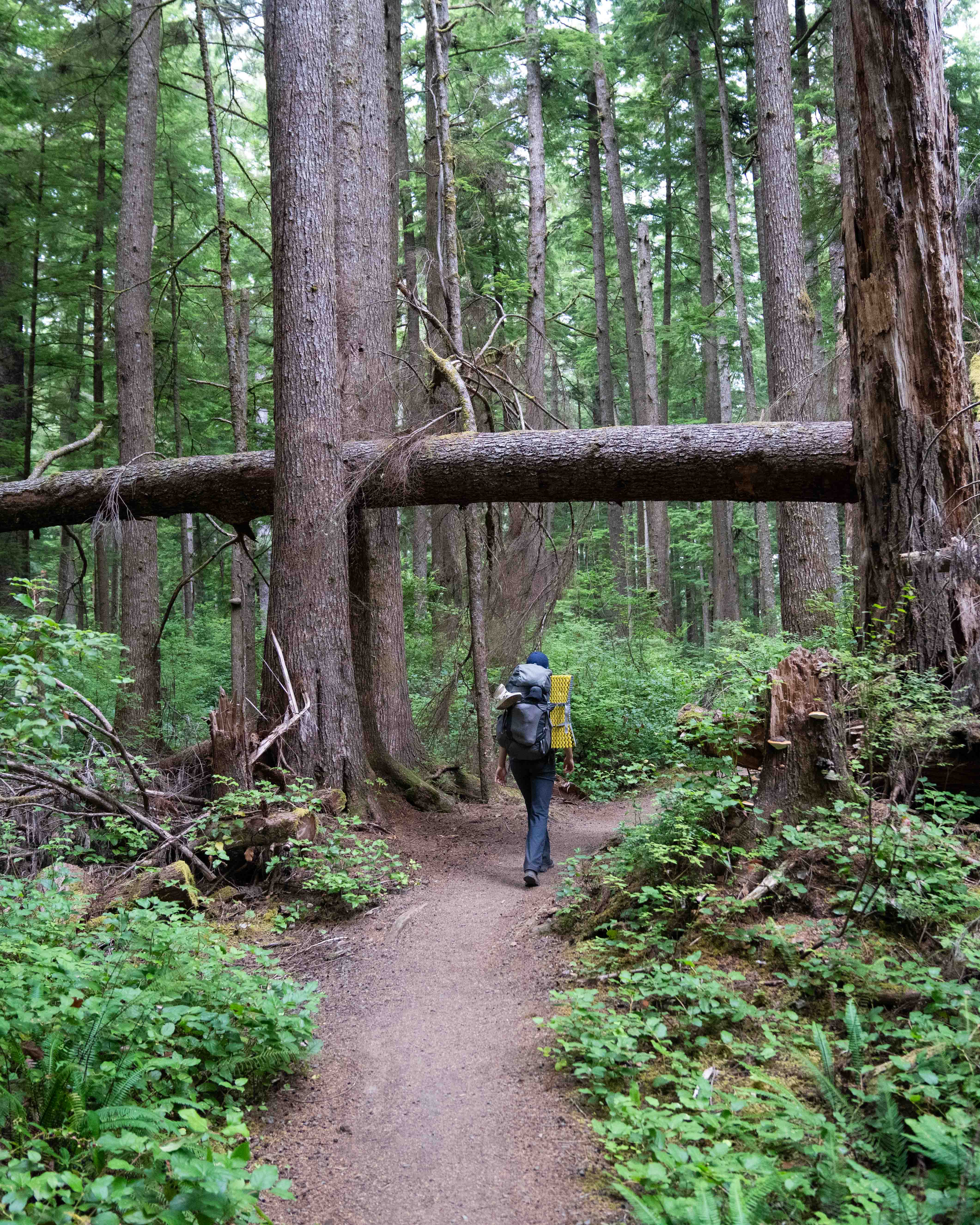 Washington Coast photo 11
