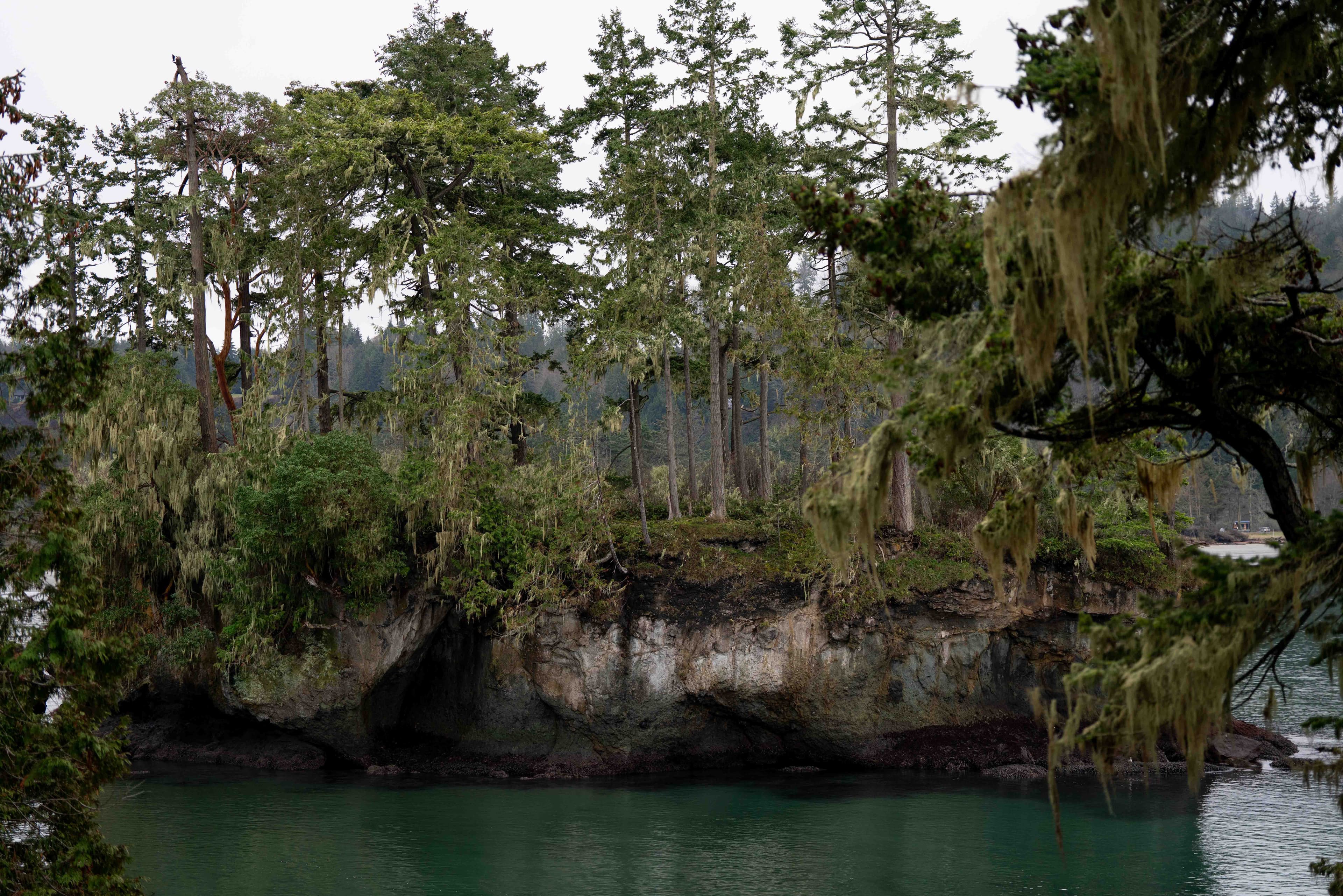 Washington Coast photo 19