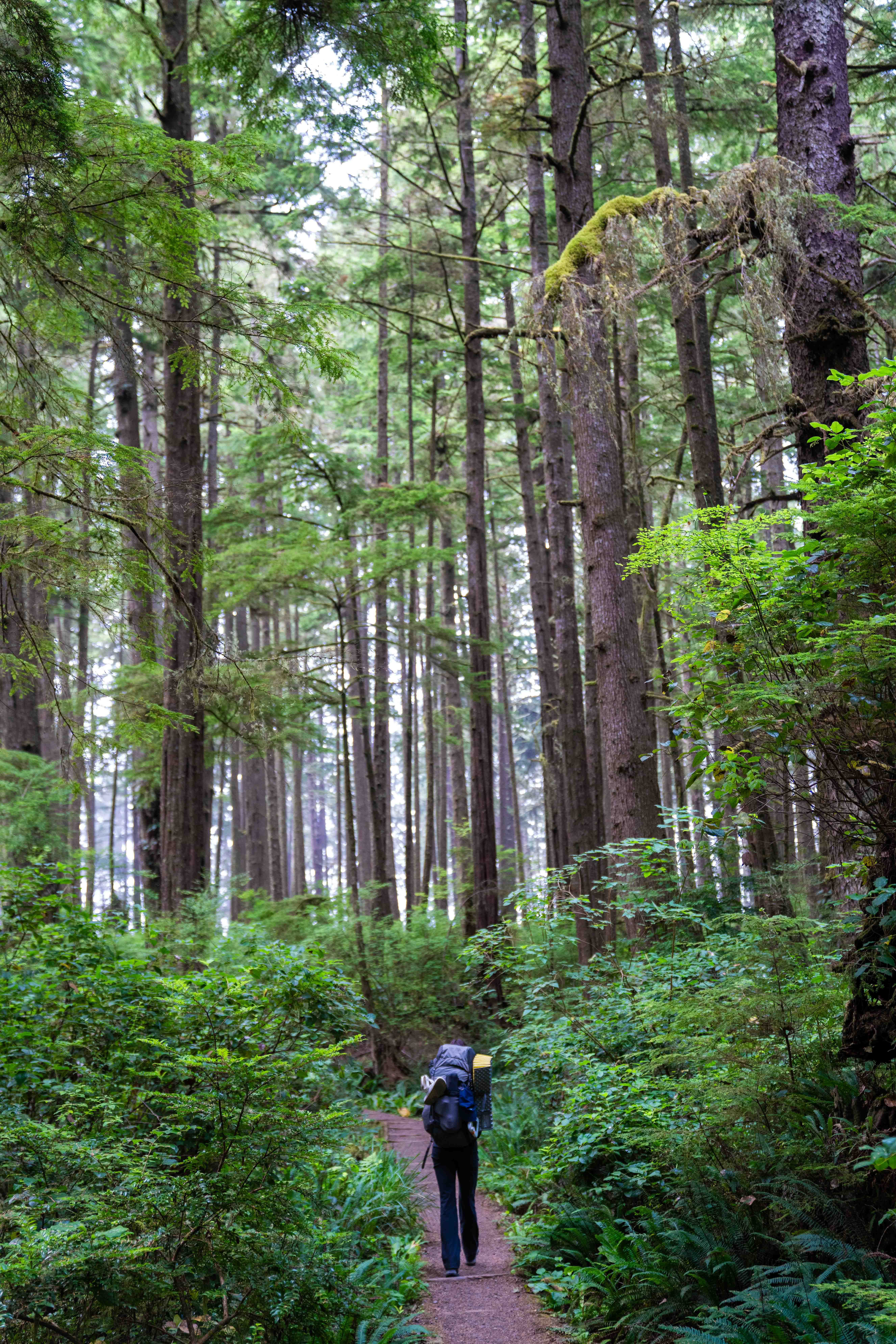 Washington Coast — Olympic Peninsula, Washington, USA