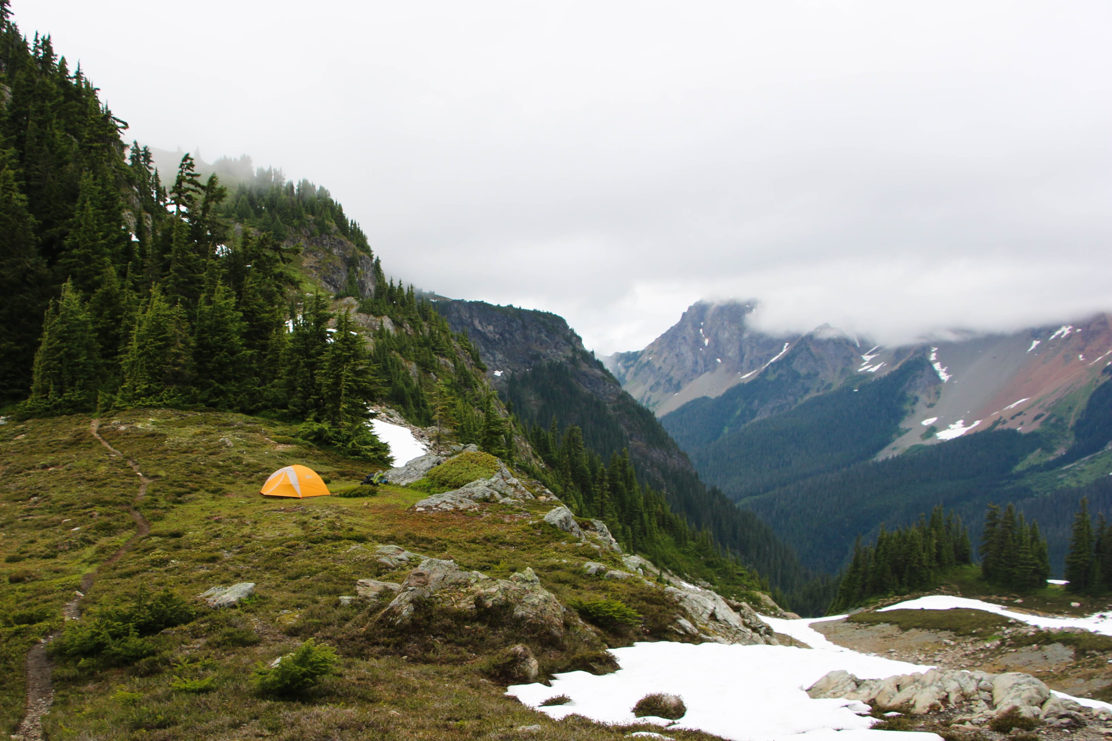 Yellow Aster Butte photo 1