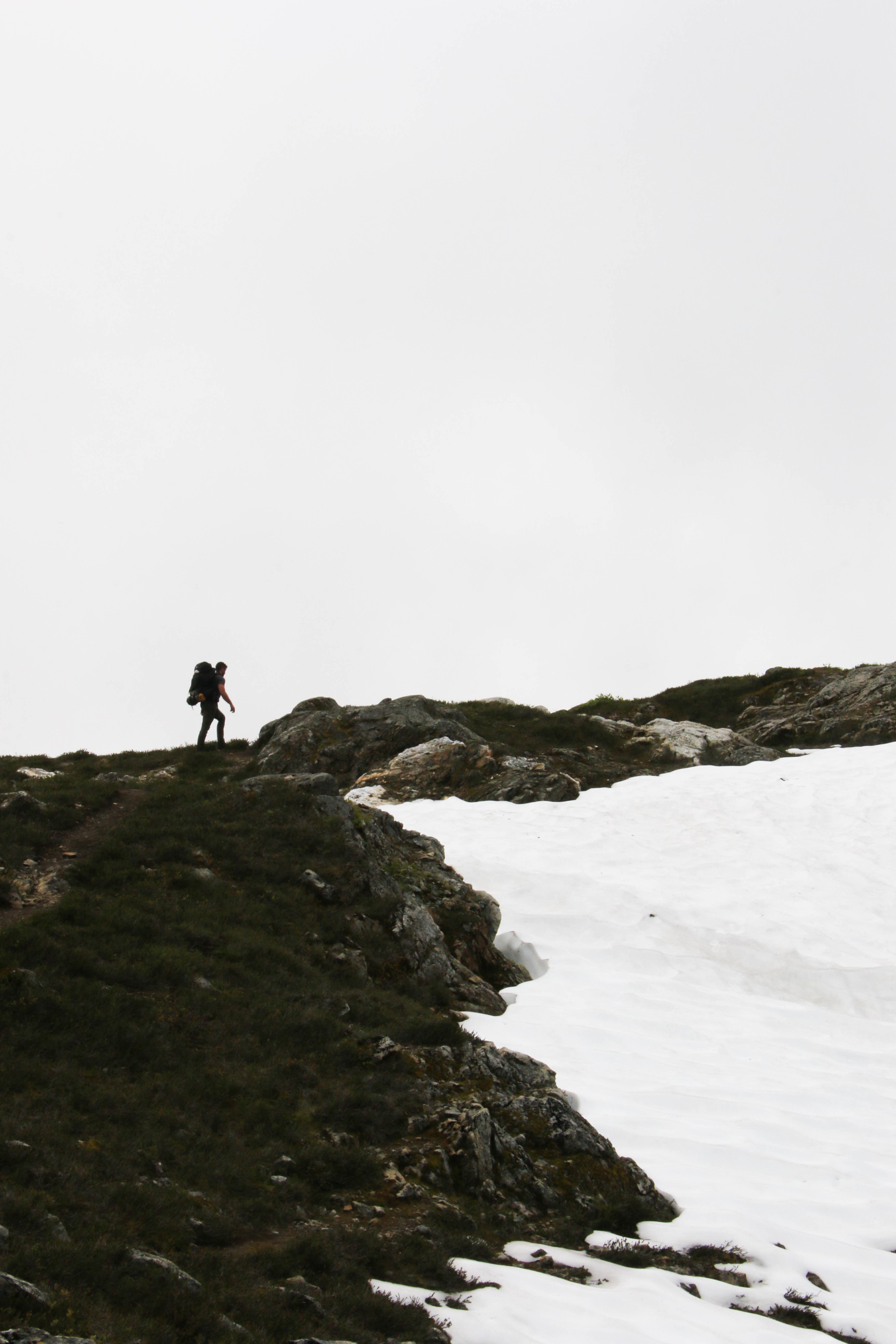 Yellow Aster Butte photo 8
