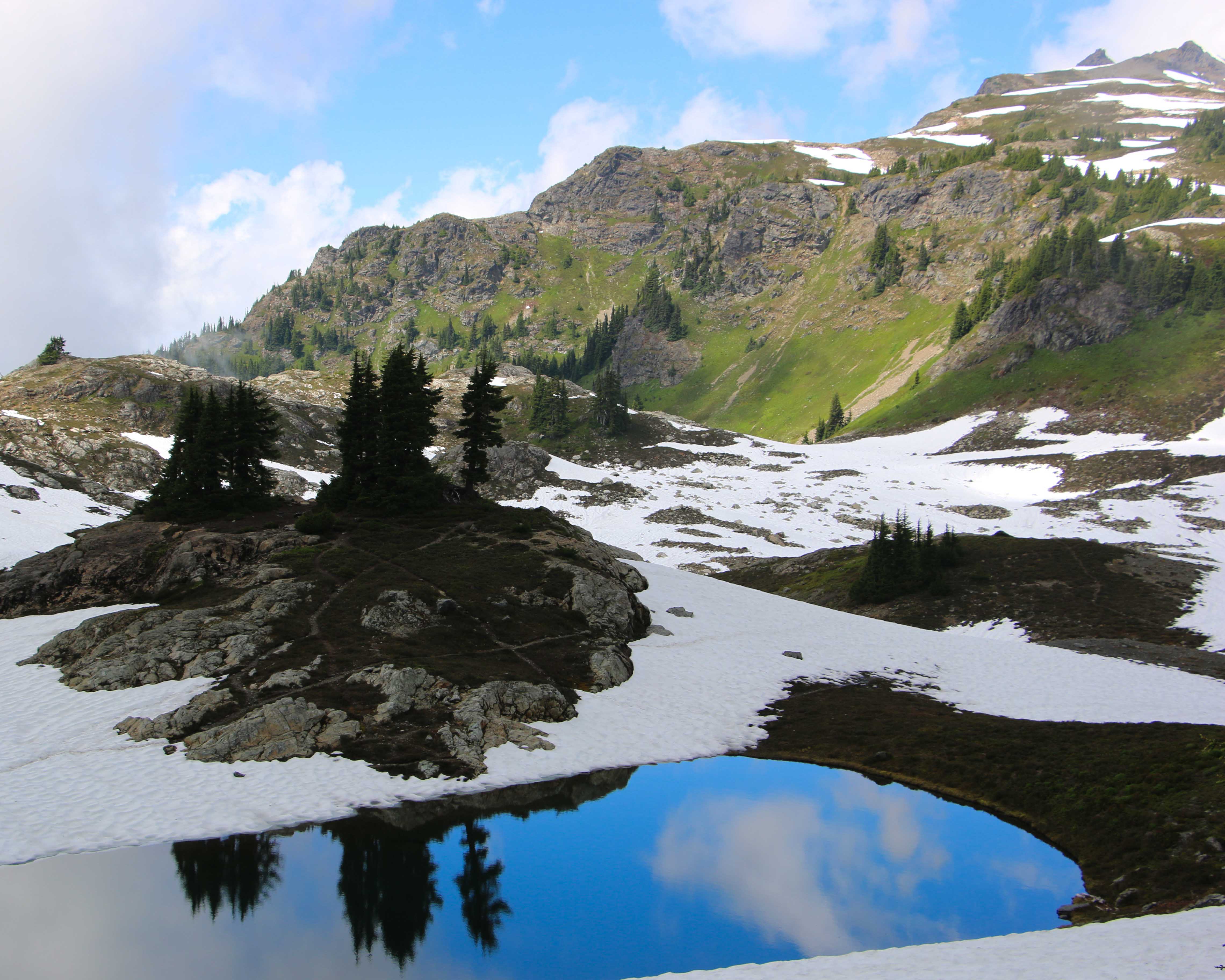 Yellow Aster Butte photo 11