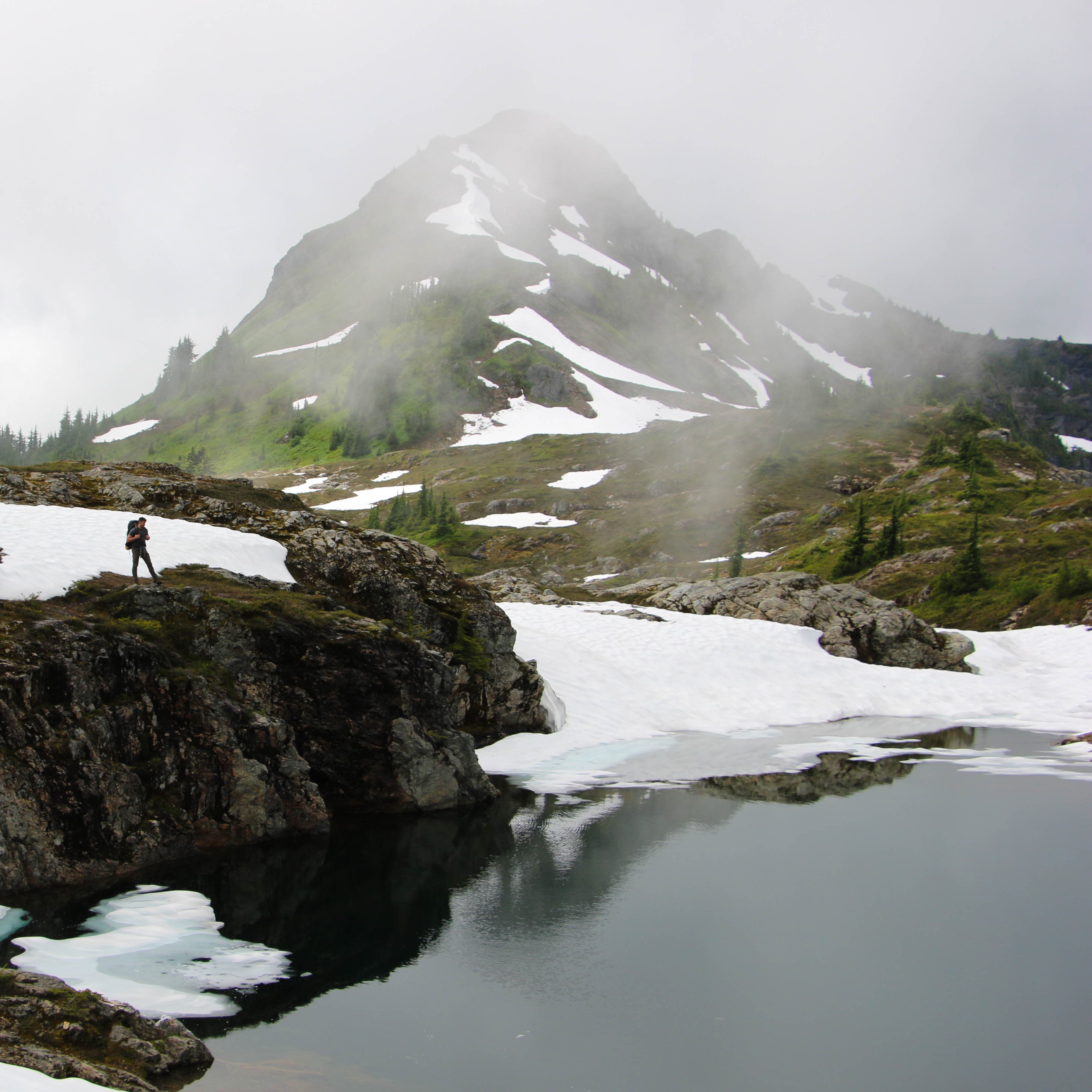 Yellow Aster Butte — Washington, USA
