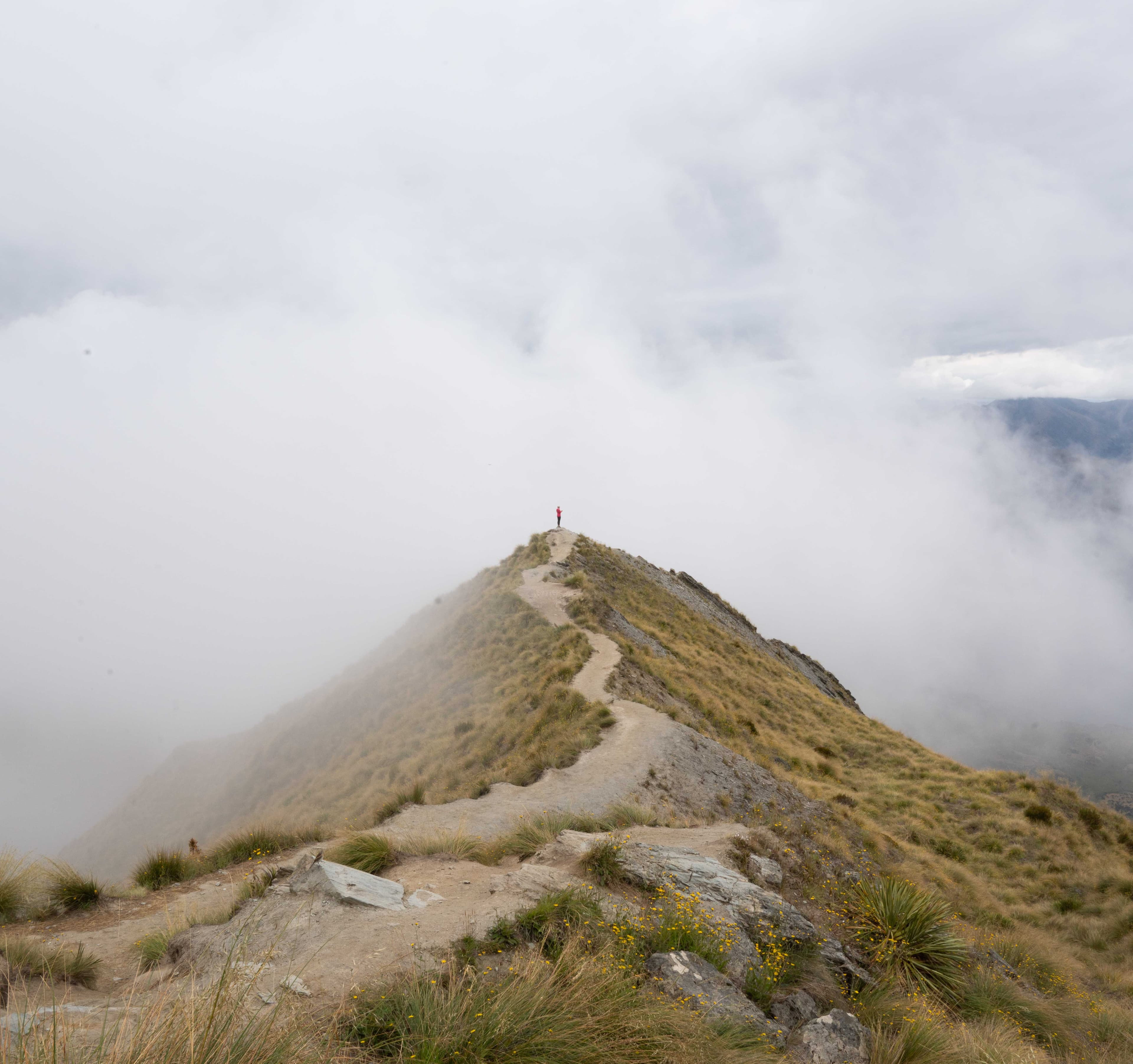 South Island — Fiordland, New Zealand